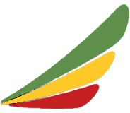 Ethiopian Airlines