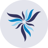 Лого авиакомпании