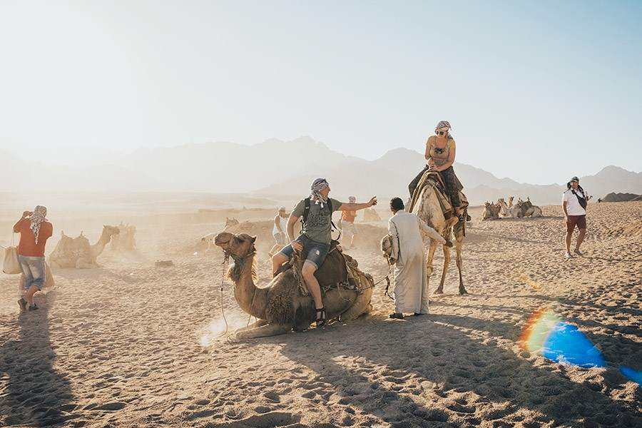  Катание на верблюдах по пустыне 