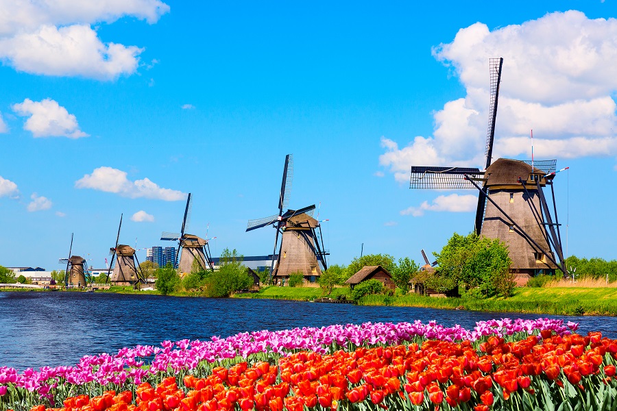  Мельницы и тюльпаны, символы Нидерландов 