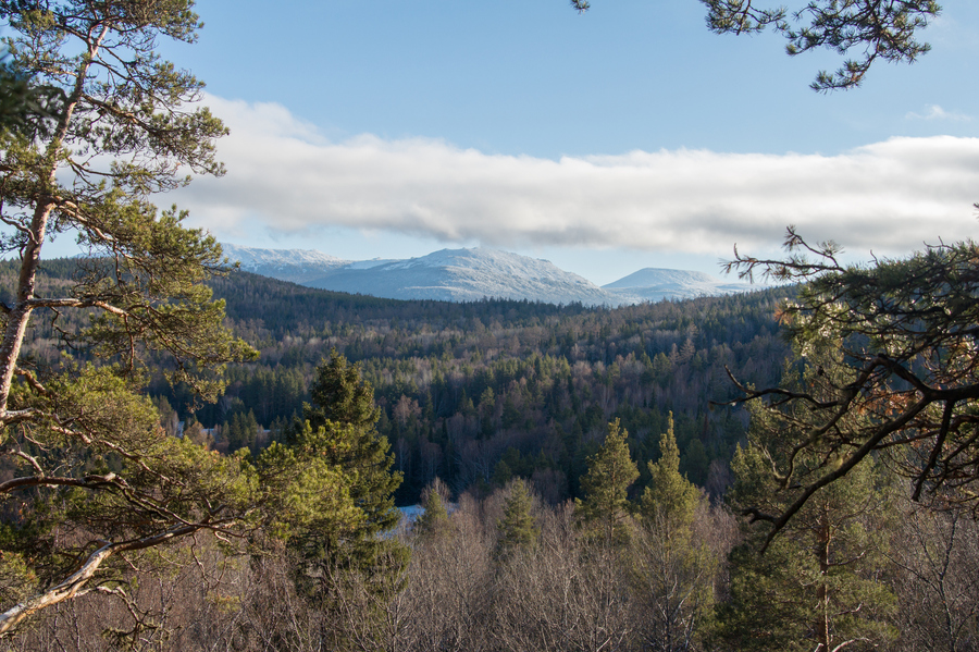 Гора Иремель