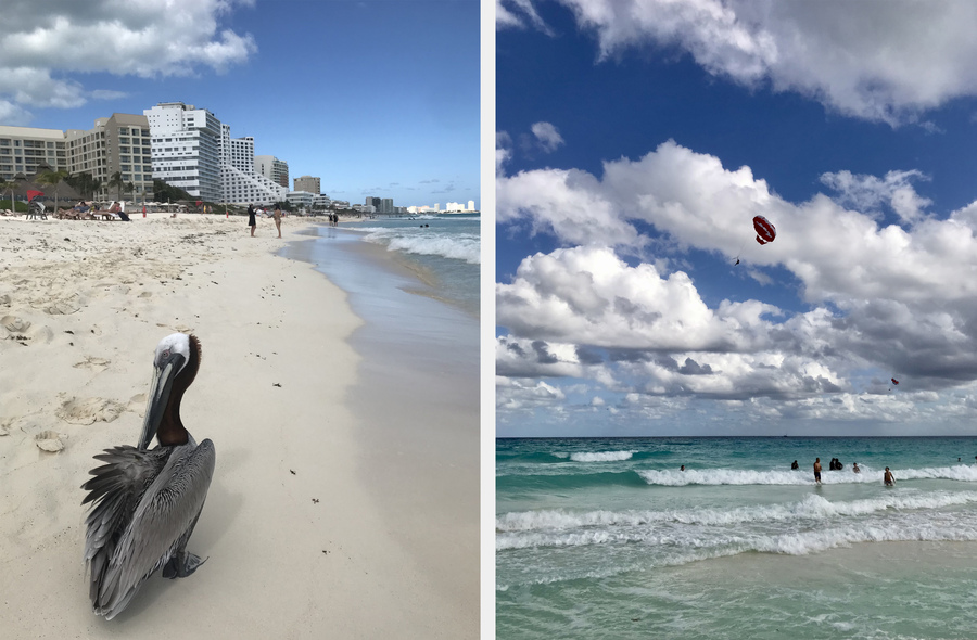 Слева — пеликан, а справа туристы — на пляже в Канкуне. Фото: Мария Желиховская 