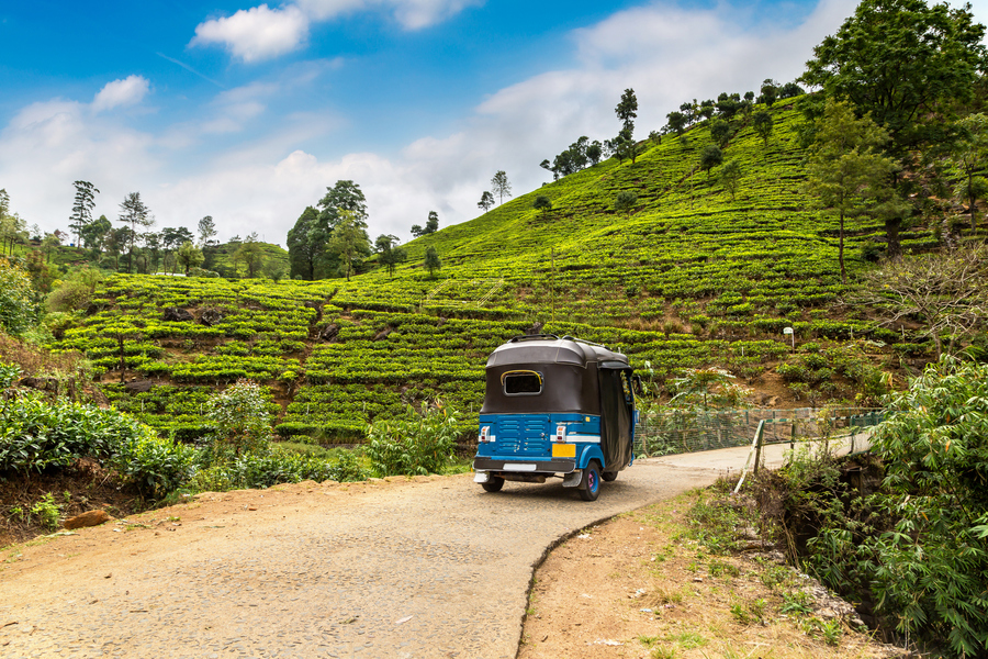 По чайным плантациям на Шри-Ланке передвигаются на тук-туках. Фото: Istockphoto/bloodua 