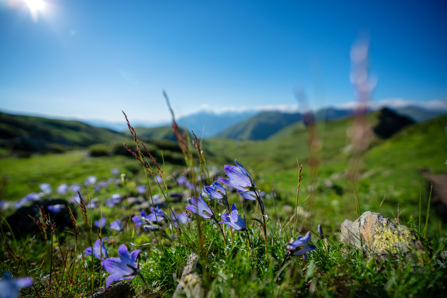 Фото: istockphoto/sankai