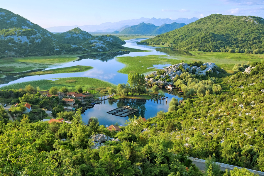 Скадарское озеро — самое большое на Балканах. Фото: istockphoto/ollirg 