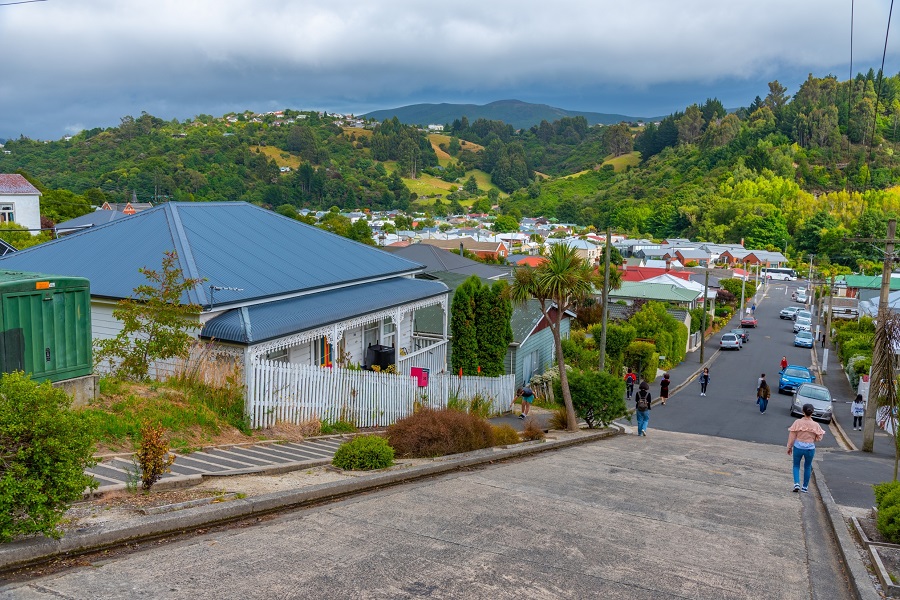 Street in Dunedin