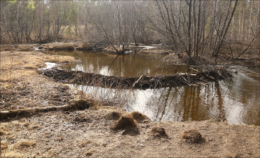 Плотина