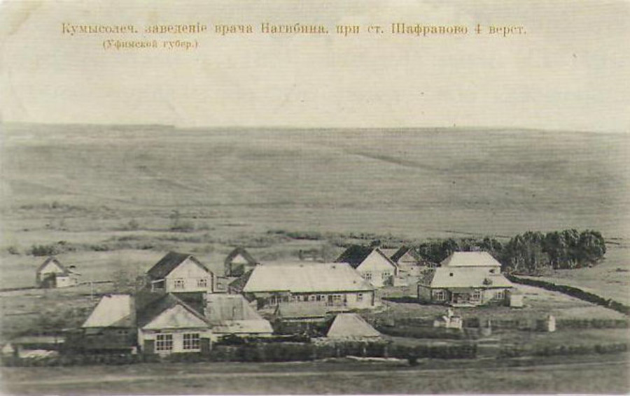 Кумысолечебница врача Анатолия Нагибина при станции Шафраново в Уфимской губернии, 1910-е. Фото общественное достояние