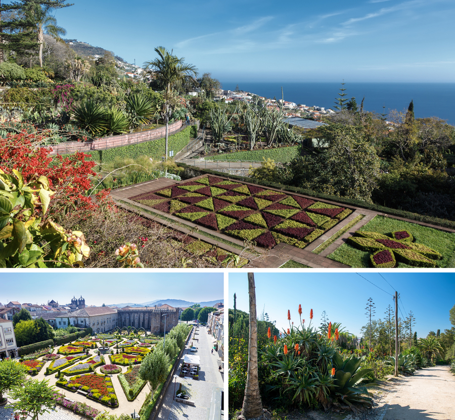  Ботанические сады (сверху вниз и слева направо) на Мадейре, в Браге и Лиссабоне. Фото: istockphoto/masterovoy, THEGIFT777, 