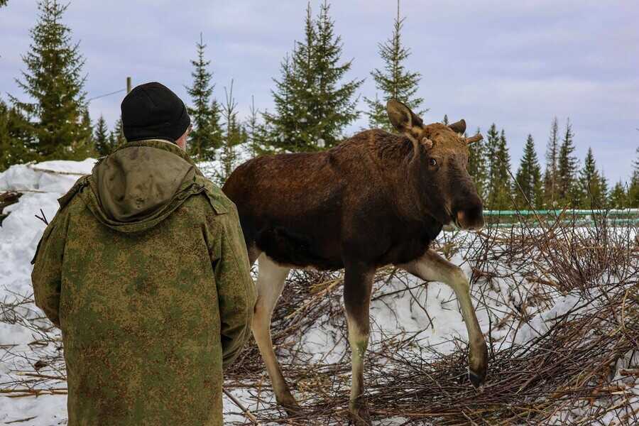 Вы точно человек?