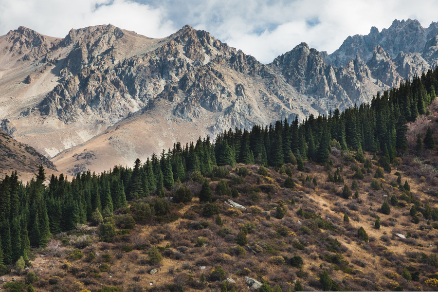 Природный парк Ала-Арча в 41 километре на юг от Бишкека на северном склоне Киргизского хребта. Фото: istockphoto/Kkolosov