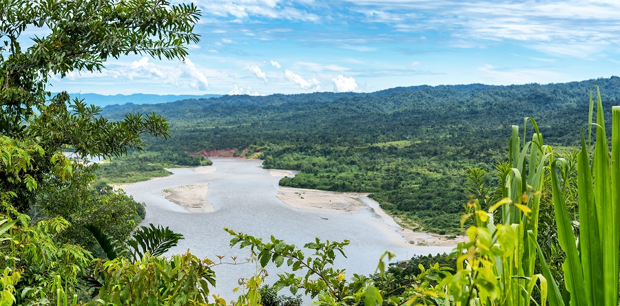 Вид на реку Амазонка, национальный парк Ману