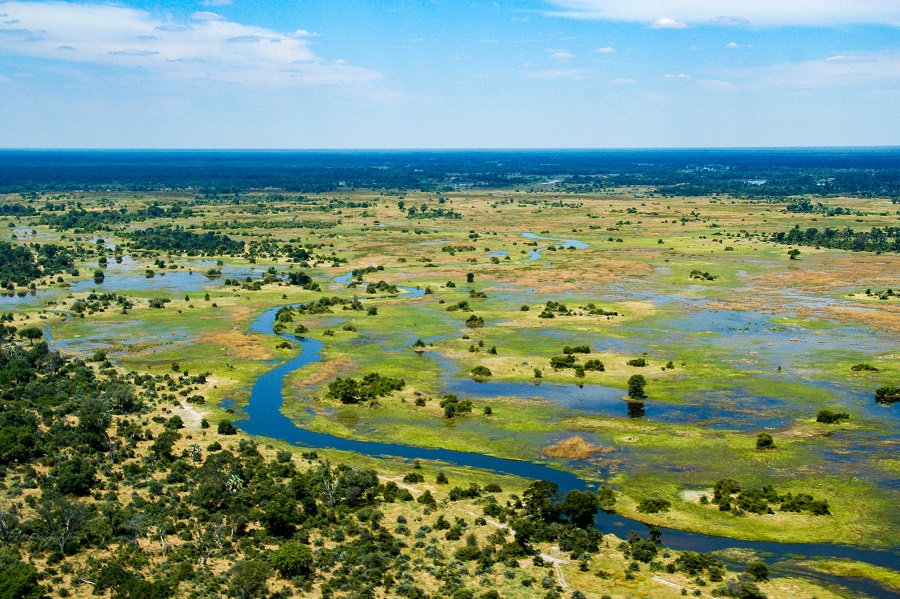 Okavango отзывы. Река Окаванго Ботсвана. Болото Окаванго в Ботсване. Дельта Окаванго. Долина реки Окаванго Африка.