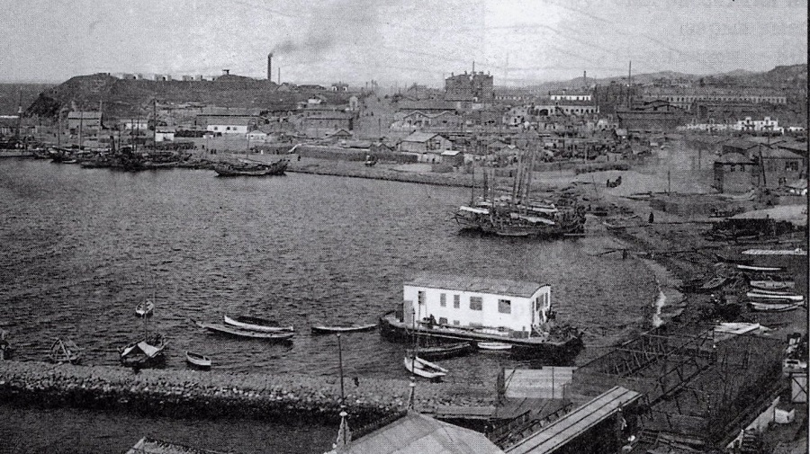  Вид на Владивосток с Тигровой сопки, начало двадцатого века. Фото: Wikimedia 