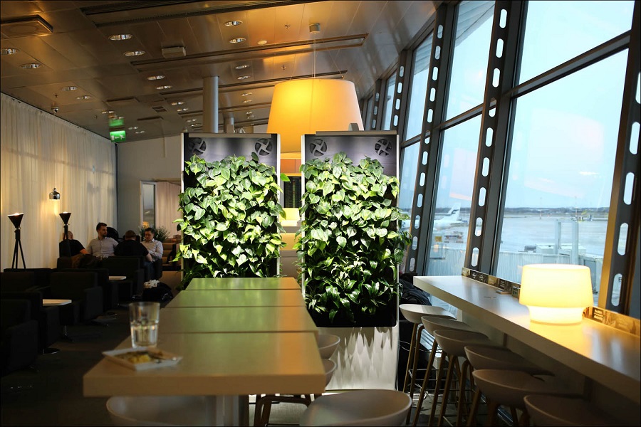 В бизнес-залах тихо и зелено. И да, в бизнес-зале Finnair есть бар и сауна.