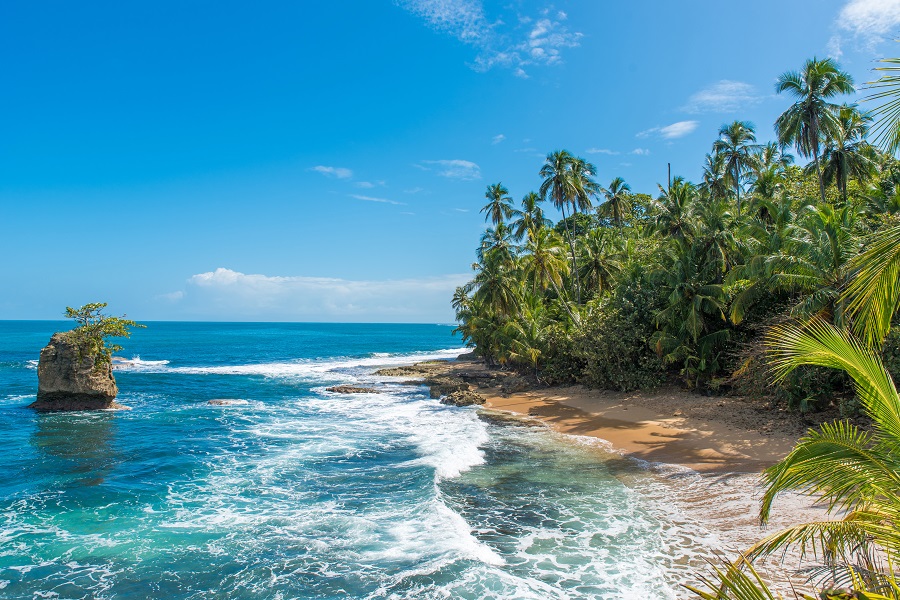  Дикий карибский пляж Мансанильо в Пуэрто-Вьехо 