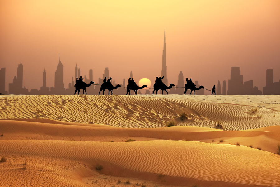 Караван верблюдов в пустыне близ Дубая. Фото: Istockphoto/adrian825