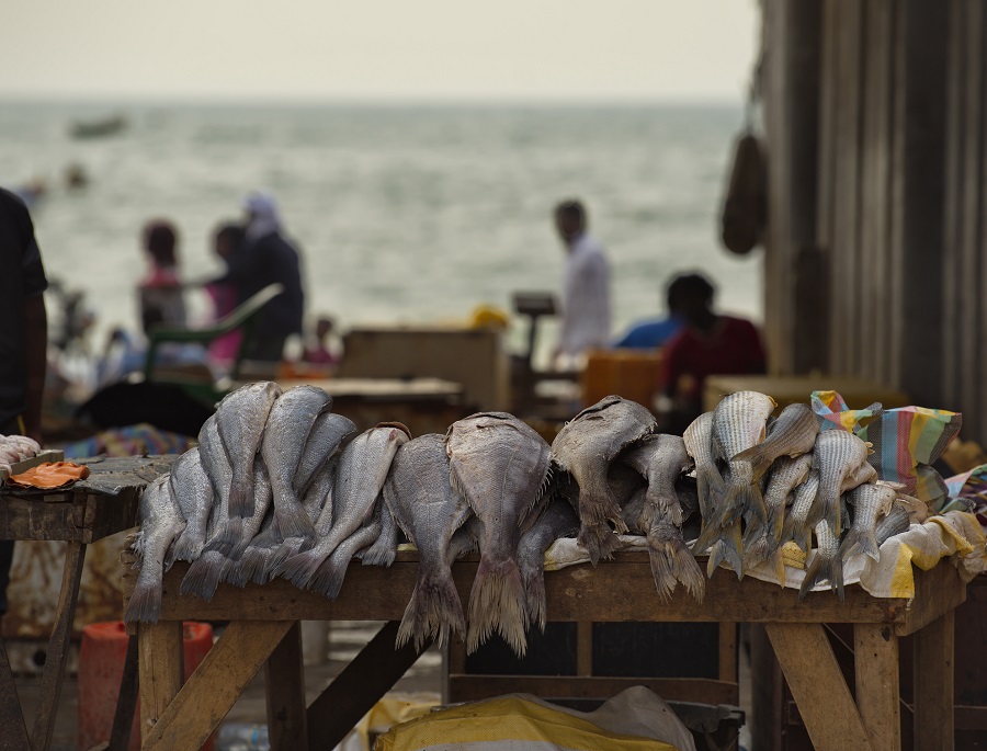  Свежая рыба на рынке, Мавритания 