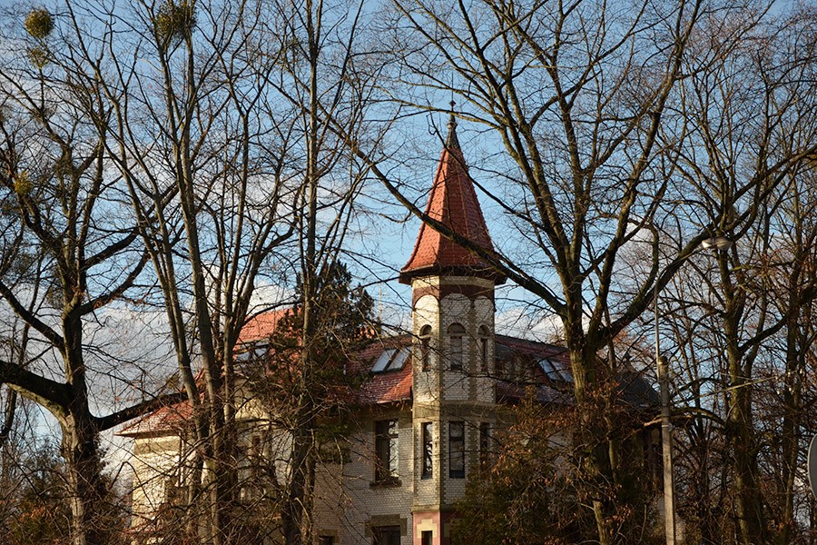 Амалиенау – район Калининграда