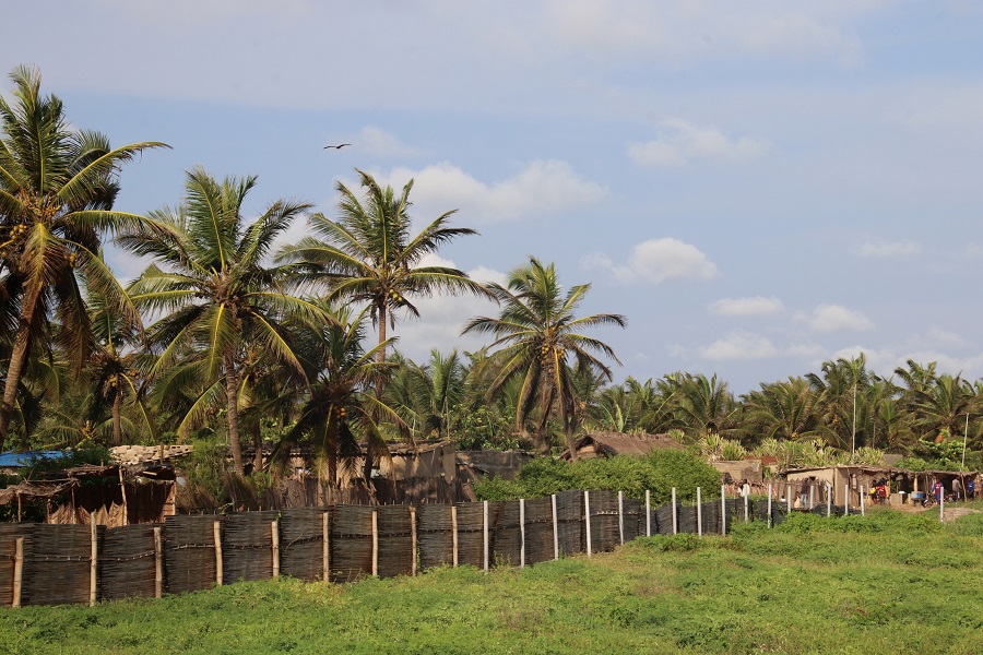  Территория около пляжа Агбодрафо, Того 