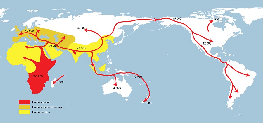  Карта ранних миграций Homo sapiens, Homo neanderthalensis и Homo erectus