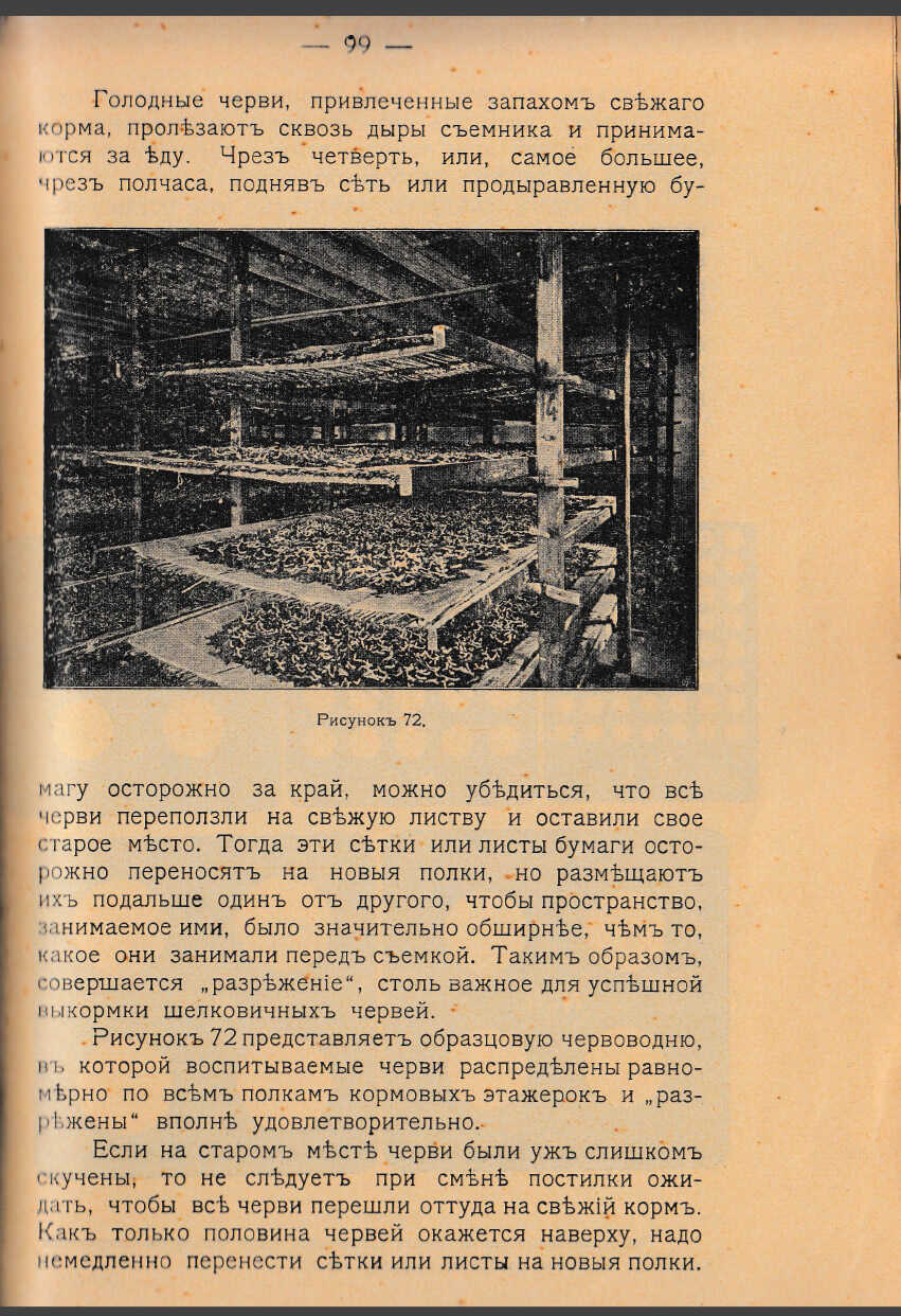 Как воспитать здорового довольного червя: разбираем инструкцию 1910 года