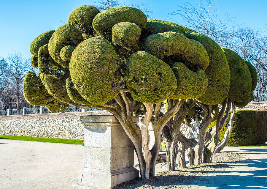 Парк Ретиро в Мадриде