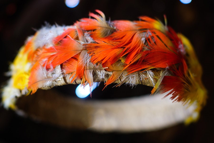  Корона индейцев ваорани. Она принадлежит вождю общины Пенти и украшена перьями ара. Фото: Александр Фёдоров 