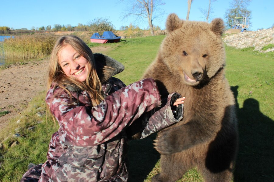  Встреча с медведем на Валдае 