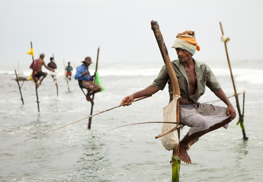 Традиционная рыбалка на шестах на Шри-Ланке. Фото: Istockphoto/1001nights
