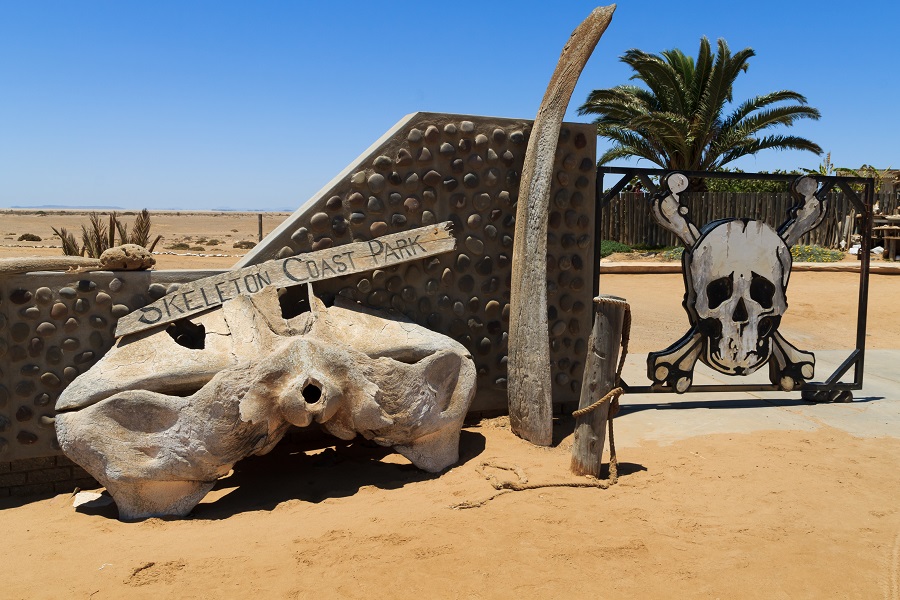  Берег скелетов в Намибии