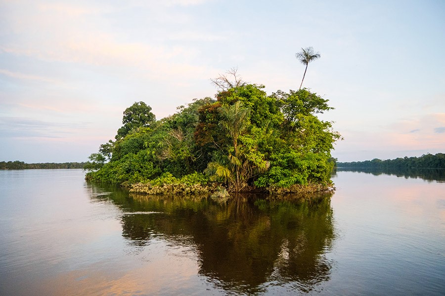  Остров на реке Ориноко в зоне расселения яномами. Фото: Александр Фёдоров 