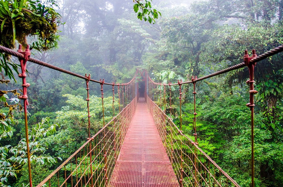  Подвесной мост в джунглях Коста-Рики