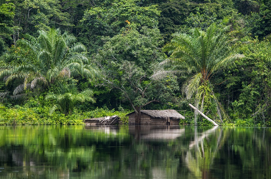 Берег реки Конго
