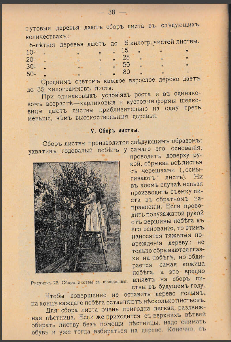 Как воспитать здорового довольного червя: разбираем инструкцию 1910 года