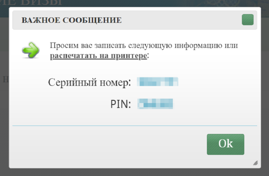  В начале оформления система присвоит анкете номер и ПИН-код — сохраните и используйте их, если вернётесь к заполнению позднее. 