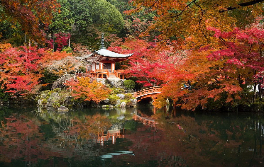  Осень в Японии