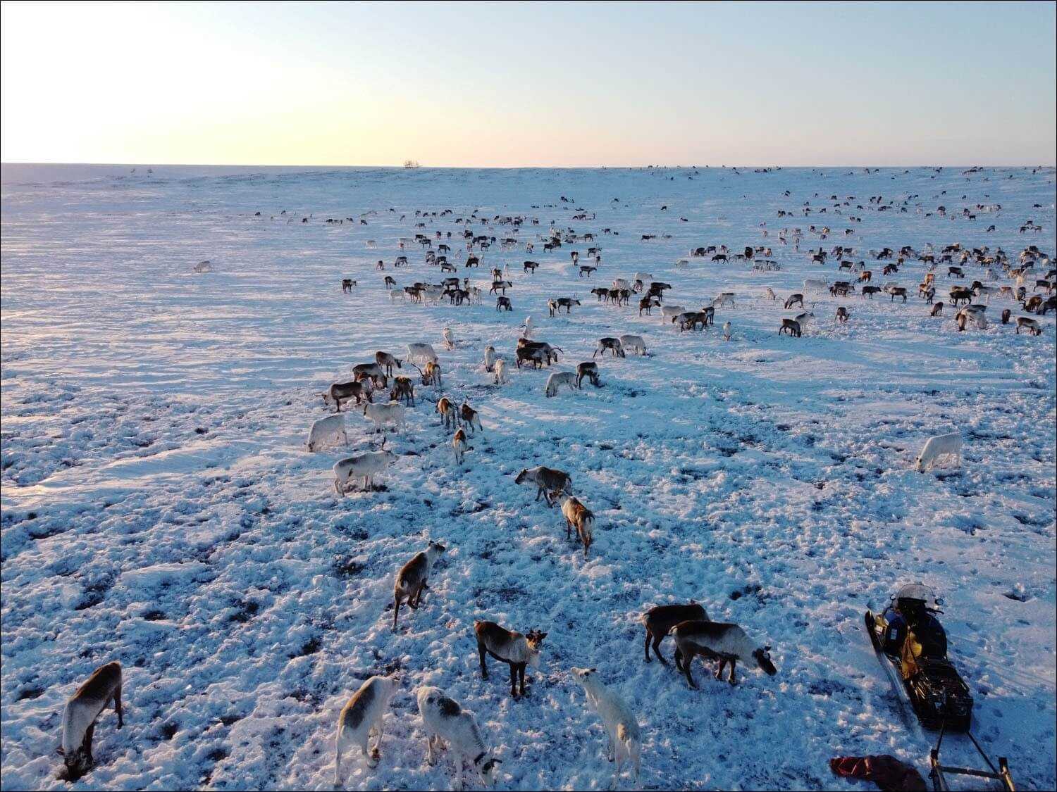 Про Крайний Север