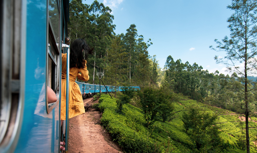 Путешествие на поезде по Шри-Ланке — один из бюджетных вариантов обзорной экскурсии по острову. Фото: Istockphoto/Stefan Tomic
