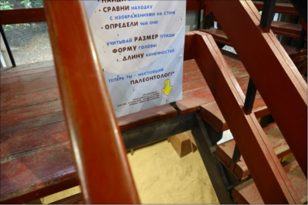 Песочница юного палеонтолога, где можно выкопать кого-то, выбывшего из коллекции зоопарка Песочница юного палеонтолога, где можно выкопать кого-то, выбывшего из коллекции зоопарка