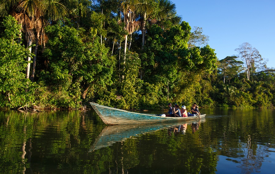 Амазонские джунгли рядом с Пуэрто-Мальдонадо