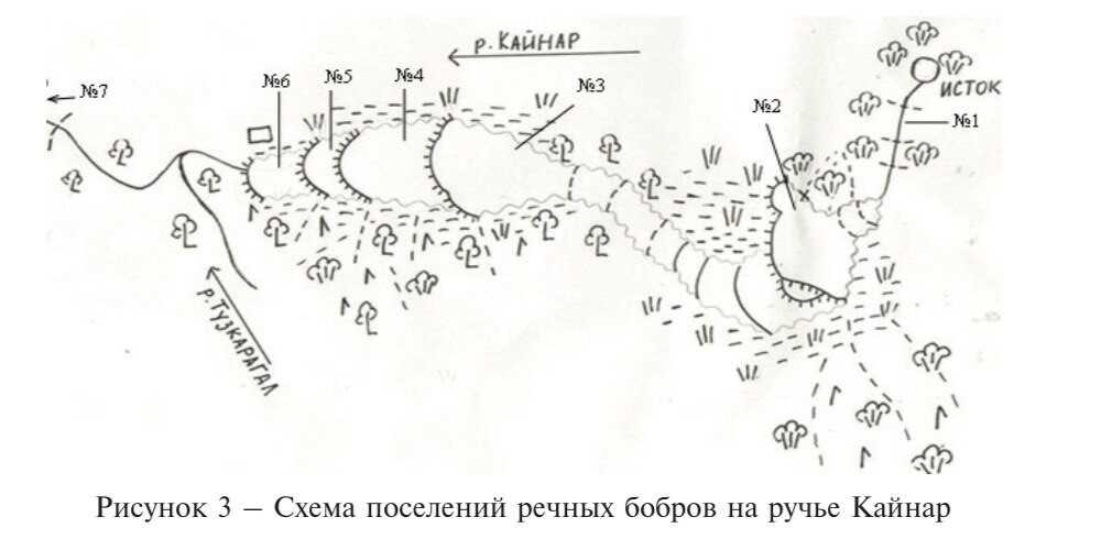 Чертеж проходного капкана