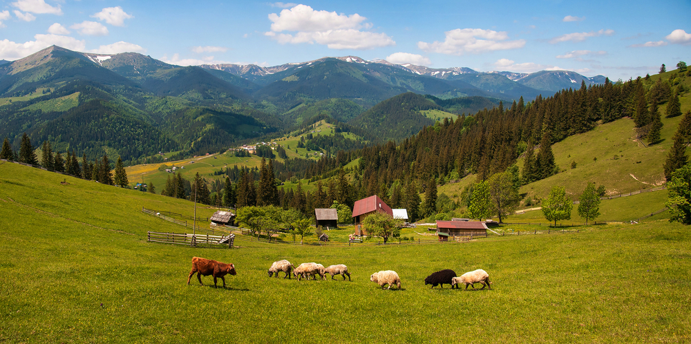 Карпаты, Украина Карпаты, Украина