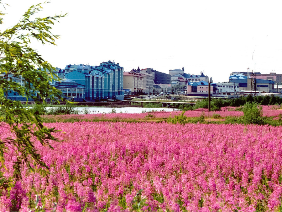 Салехард, Россия