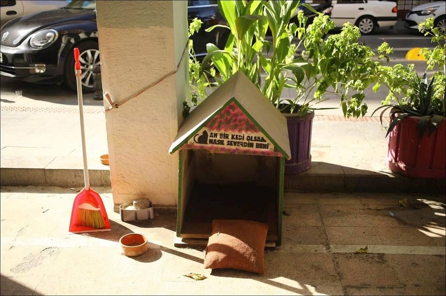 Около жилых домов или магазинов можно увидеть вот такие домики для собак и кошек