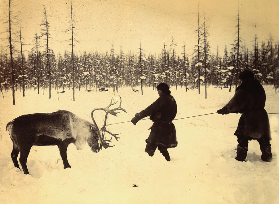Оленеводы в Якутии, конец девятнадцатого — начало двадцатого века. Фото: фотография из альбома “Виды Якутской области” И. Попова
