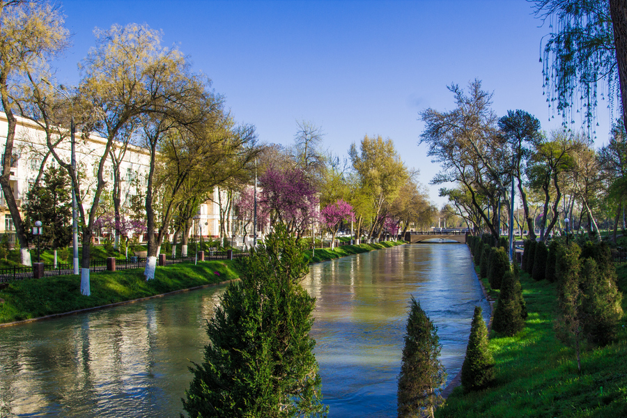  Канал Анхор в центре Ташкента. Фото: istockphoto