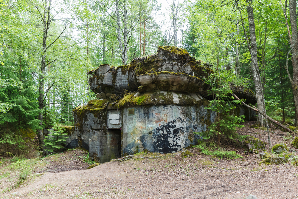 Дот в лесу, линия Маннергейма