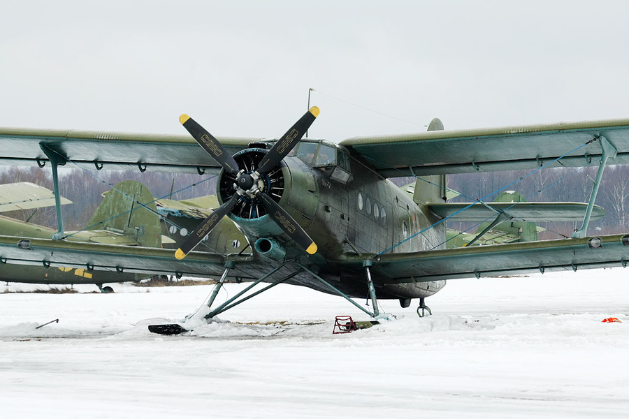 При необходимости Ан-2 может встать на лыжи. На такие модели устанавливаются тормоза с шипами, выдвигающимися с помощью пневмопривода. А ещё в них встроен электроподогрев, он не даёт самолёту примёрзнуть к грунту во время стоянки. Фото: wikimedia/Dmitry A. Mottl