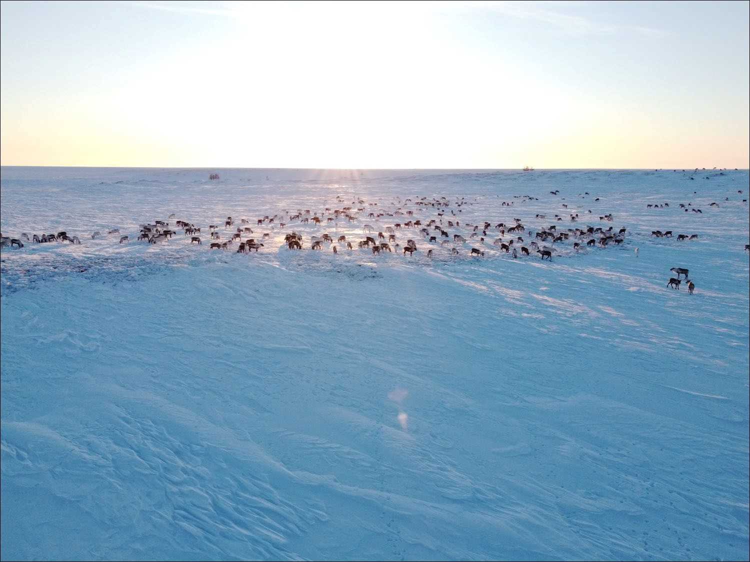 Про Крайний Север